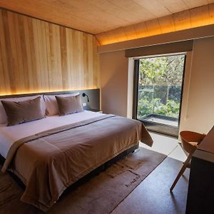 Habitación con Cama King